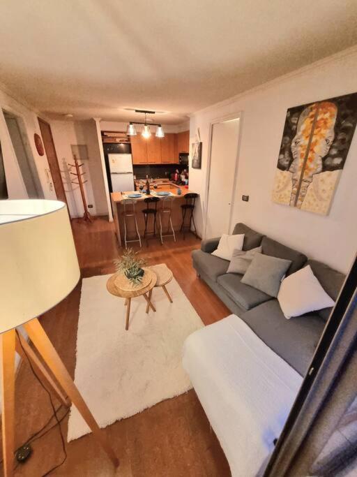 Acogedor Departamento 2d2b Cerca Del Metro Manuel Montt En Providencia Santiago